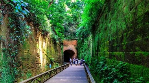 <Web割対象商品>【キングツアーバス旅】横須賀満喫♪無人島・要塞の島「猿島」と世界三大記念艦「三笠」YOKOSUKA軍港めぐり〔府中・調布発〕1